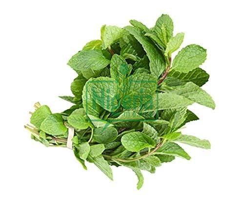 BREAKING: Stop Wasting Your Money To Buy Painkillers, Use These Herbs To Ease Headache