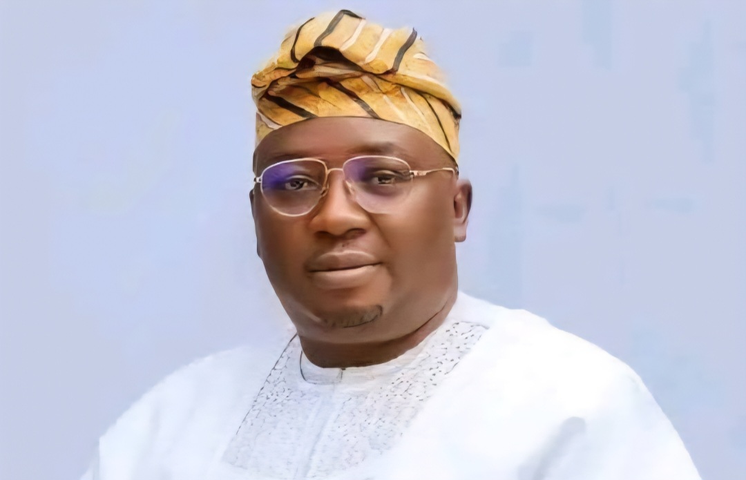 Nigerians React As Minister of Power Adelabu Unveils Mansion Called ‘Government House’ (Video)